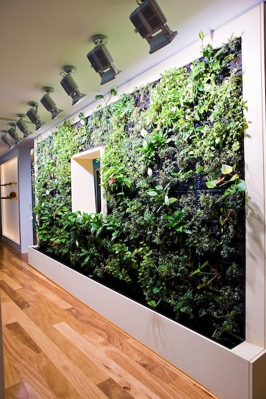 2nd Road - Tenant Representation, Interior Design, Project & Construction Management Project Image 5 by PCG.jpg 2nd Road - Tenant Representation, Interior Design, Project & Construction Management Project Image 5 by PCG.jpg