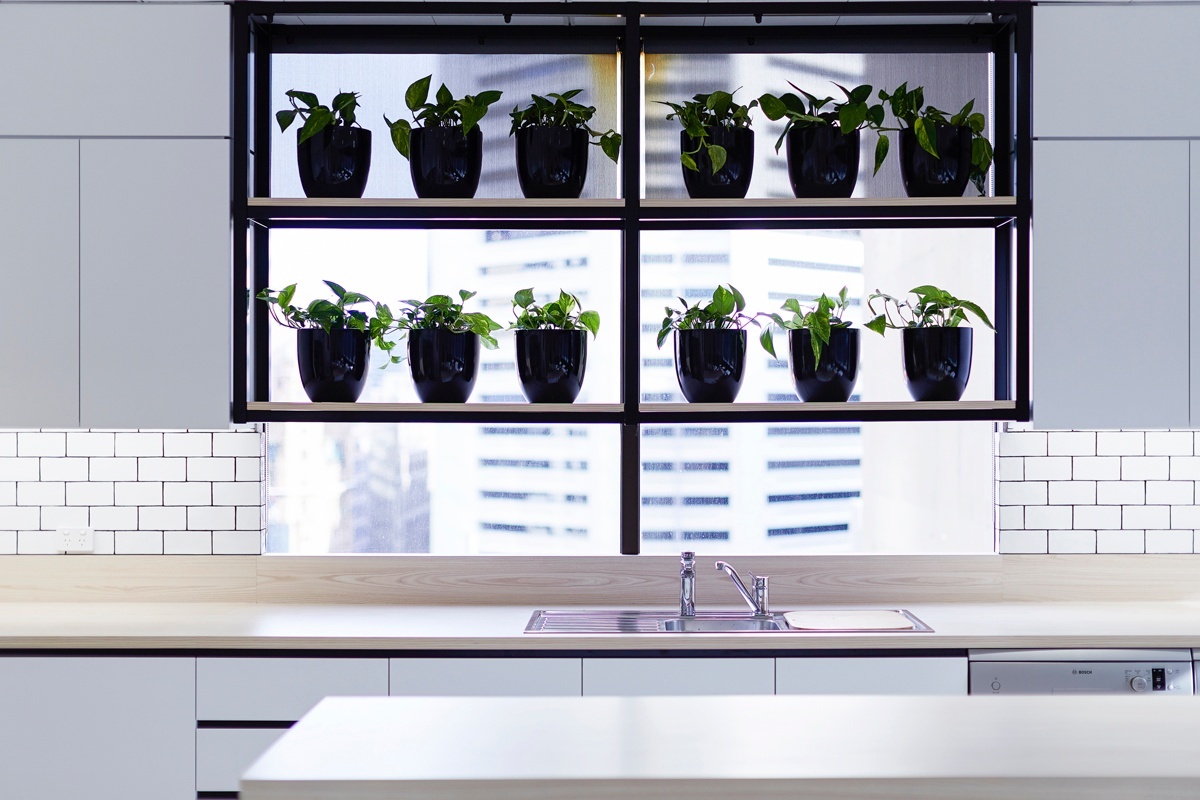 NTI Sydney_ Fitout Tenant Representation, Interior Design, Project & Construction Management Project Image 5 by PCG NTI Sydney_ Fitout Tenant Representation, Interior Design, Project & Construction Management Project Image 5 by PCG